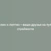 Грелин и лептин – ваши друзья на пути к стройности