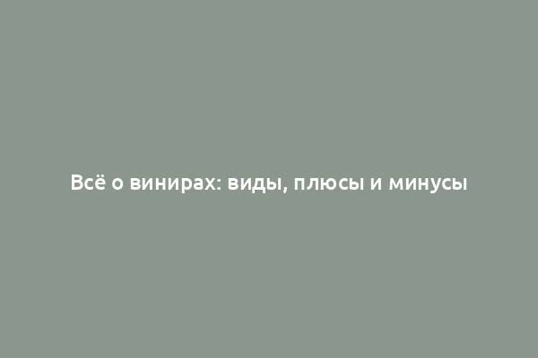 Всё о винирах: виды, плюсы и минусы