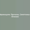 Варикоцеле: Причины, Симптомы и Лечение