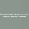 Антимюллеров гормон: значение, нормы и факторы влияния