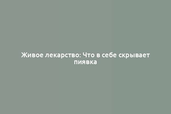 Живое лекарство: Что в себе скрывает пиявка