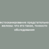 Гистосканирование предстательной железы: что это такое, тонкости обследования