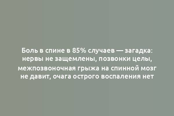 Боль в спине в 85% случаев — загадка: нервы не защемлены, позвонки целы, межпозвоночная грыжа на спинной мозг не давит, очага острого воспаления нет