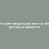 Где пройти вакцинацию: полный обзор доступных вариантов