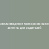 Правила введения прикормов: важные аспекты для родителей