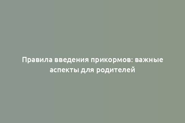 Правила введения прикормов: важные аспекты для родителей