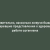 Удивительно, насколько живучи бывают устаревшие представления о здоровье и работе организма