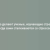 Что делают ученые, изучающие стресс, когда сами сталкиваются со стрессом?