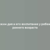 Режим дня и его воспитание у ребенка раннего возраста