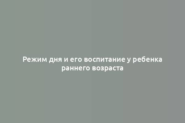 Режим дня и его воспитание у ребенка раннего возраста