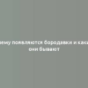 Почему появляются бородавки и какими они бывают