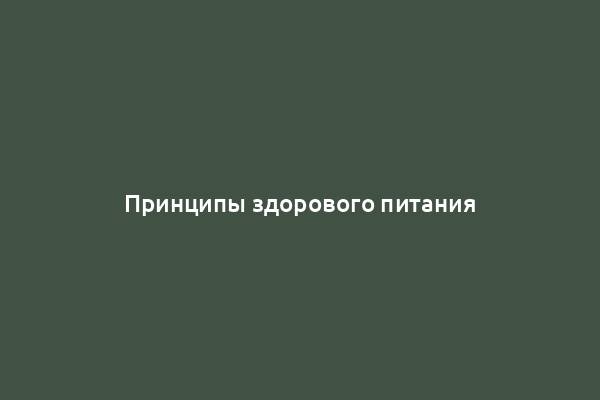 Принципы здорового питания