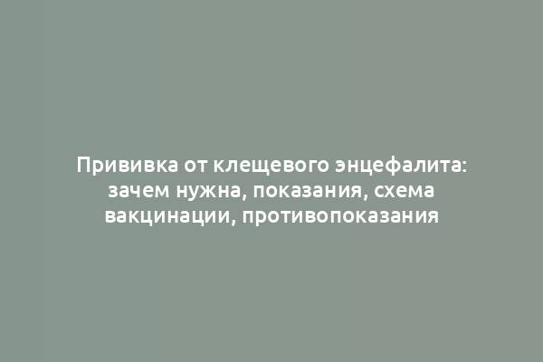 Прививка от клещевого энцефалита: зачем нужна, показания, схема вакцинации, противопоказания