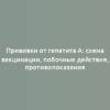 Прививки от гепатита А: схема вакцинации, побочные действия, противопоказания