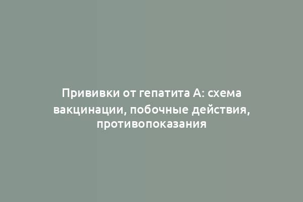 Прививки от гепатита А: схема вакцинации, побочные действия, противопоказания