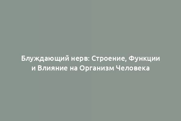 Блуждающий нерв: Строение, Функции и Влияние на Организм Человека