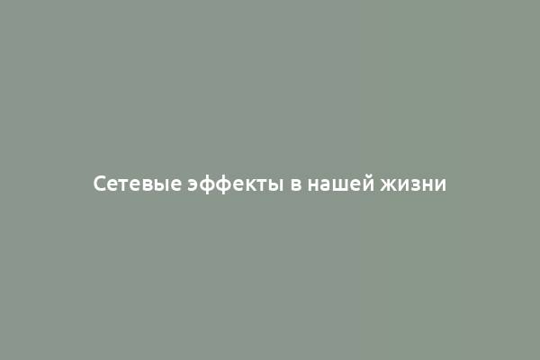 Сетевые эффекты в нашей жизни