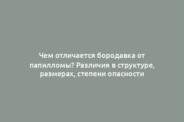 Чем отличается бородавка от папилломы? Различия в структуре, размерах, степени опасности