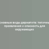 Основные виды дерматита: типичные проявления и опасность для окружающих