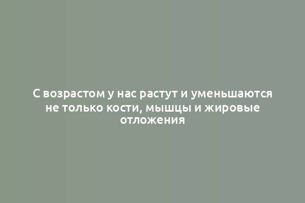 С возрастом у нас растут и уменьшаются не только кости, мышцы и жировые отложения