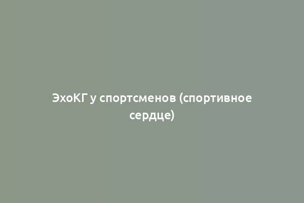 ЭхоКГ у спортсменов (спортивное сердце)