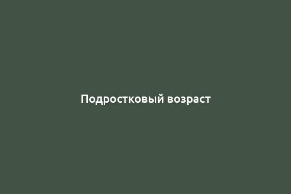 Подростковый возраст