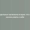 Модельные организмы в науке: что мы можем узнать о себе