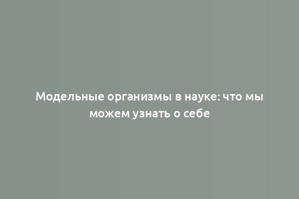 Модельные организмы в науке: что мы можем узнать о себе