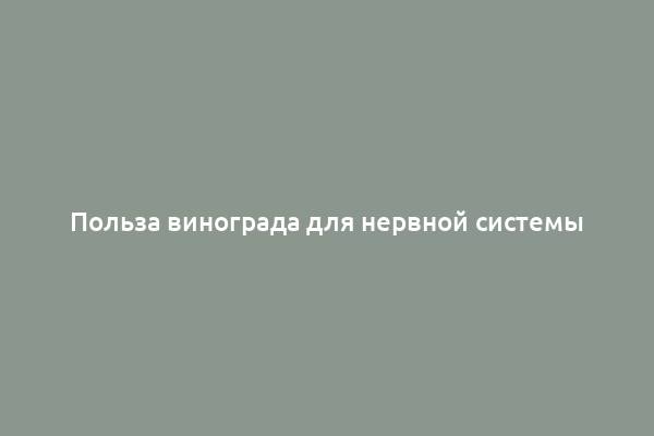 Польза винограда для нервной системы