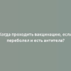 Когда проходить вакцинацию, если переболел и есть антитела?