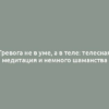 Тревога не в уме, а в теле: телесная медитация и немного шаманства