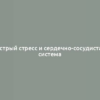 Острый стресс и сердечно-сосудистая система