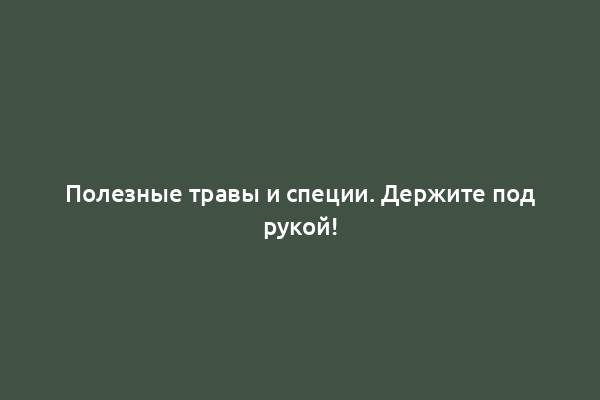 Полезные травы и специи. Держите под рукой!