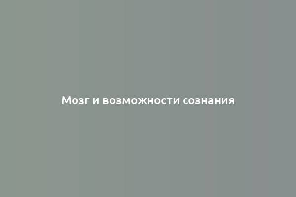 Мозг и возможности сознания